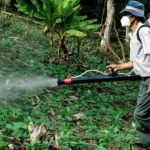 agrochemicals